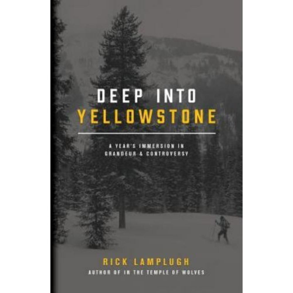 DEEP INTO YELLOWSTONE: A YEAR'S IMMERSION IN GRANDEUR AND By Rick Lamplugh *VG+*